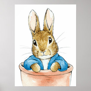 Peter das Kaninchen sitzt in Pflanze Pot Poster