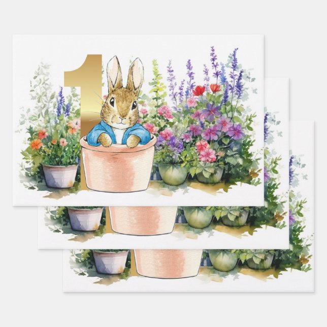 Peter der Rabbit zum ersten Geburtstag in einem To Geschenkpapier Set (Set)