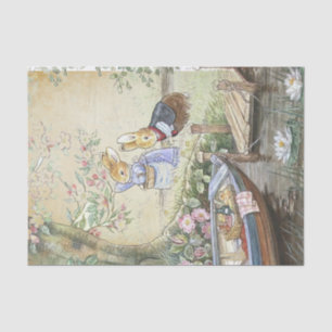 Peter Rabbit 11 Seidenpapier