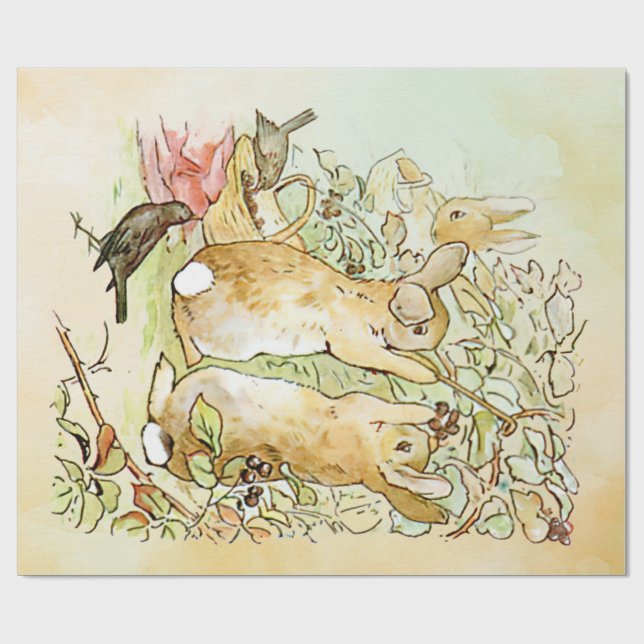 Peter Rabbit 4 Wrapping Paper Geschenkpapier (Flach)