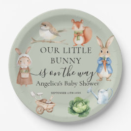 Peter Rabbit Animals Garden Tools Kinderdusche Pappteller