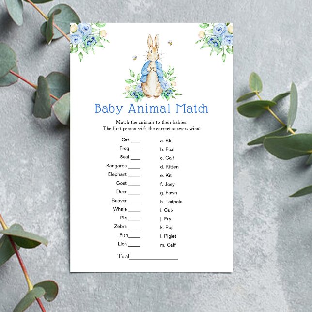 Peter Rabbit Baby Animal Match Game (Von Creator hochgeladen)