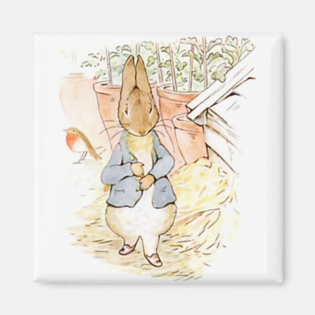 Peter Rabbit im Garten (von Beatrix Potter) Magnet (Vorne)