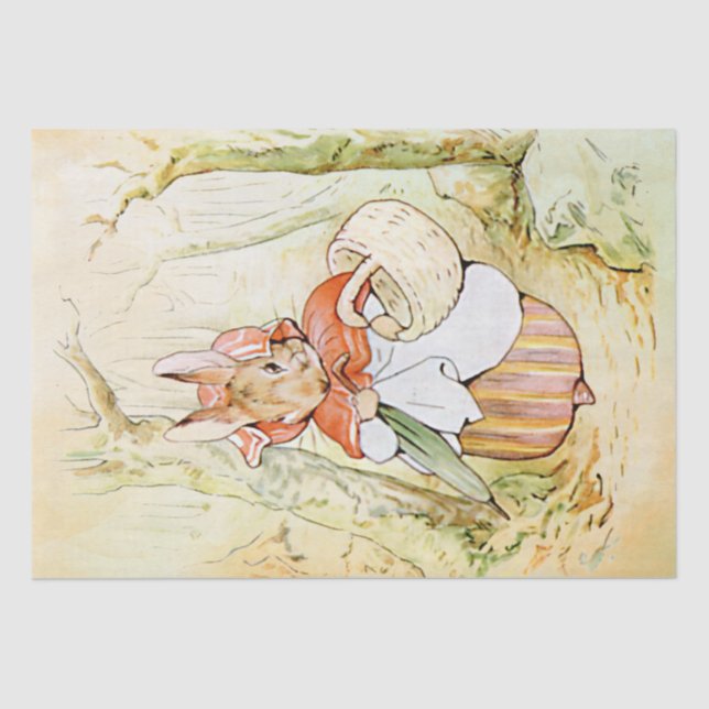 Peter Rabbit (Korb) Gewebepapier Seidenpapier (Vorderseite)
