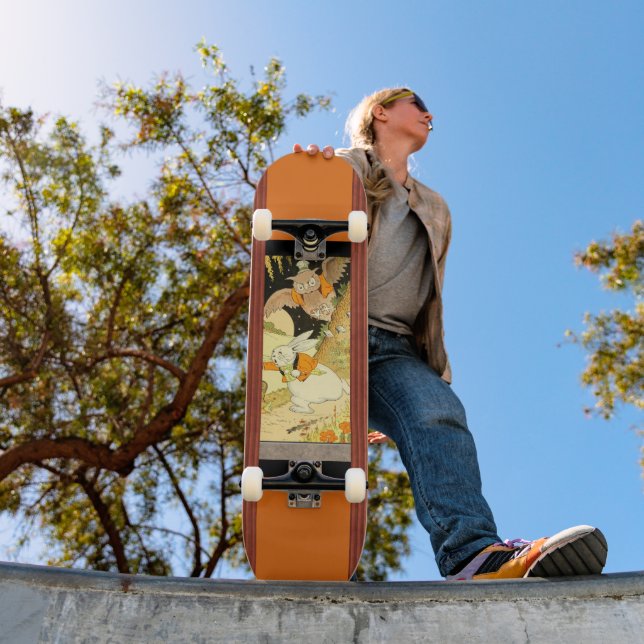 Peter Rabbit Skateboard (Außenbereich 1)