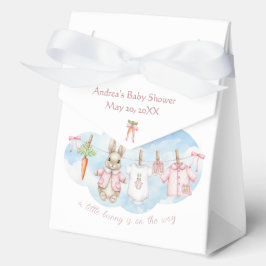 Peter the Rabbit Girl Clothesline Baby Shower   Geschenkschachtel