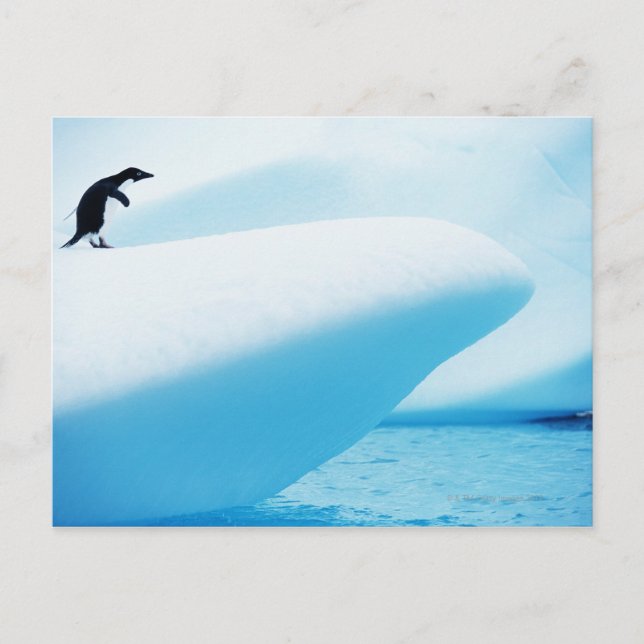 Petermann-Insel, Antarktis Postkarte (Vorderseite)