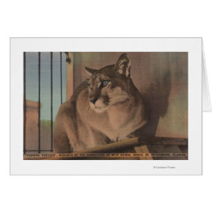 Petersburg, Florida - Bild von Florida