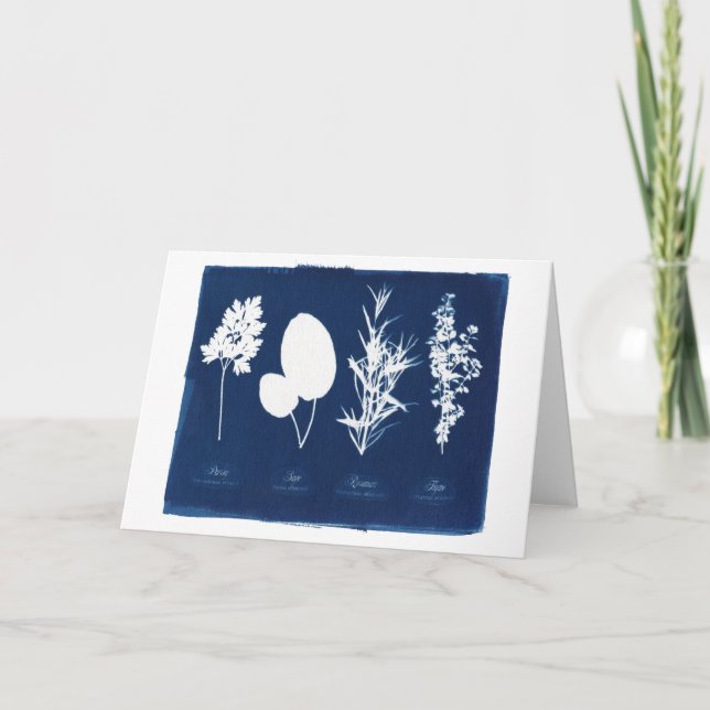 Petersilie weiser Rosemary u. Thymian-freier Raum Karte (Vorderseite)