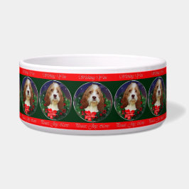 Petit Basset Griffon Vendeen Christmas Napf