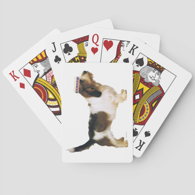 Petit Basset Griffon Vendeen Dapper Spielkarten (Rückseite)