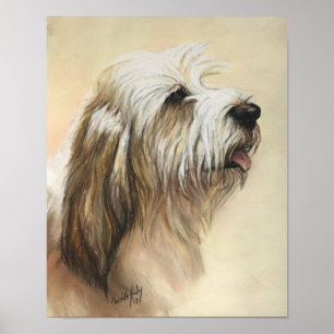 Petit Basset Griffon Vendeen Dog Art Print Poster
