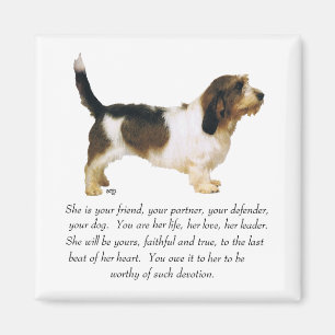 Petit Basset Griffon Vendeen Hündin Magnet