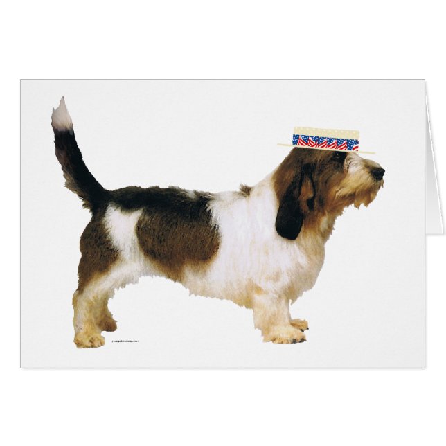 Petit Basset Griffon Vendeen Patriot (Vorderseite (Horizontal))
