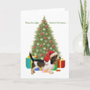 Petit Basset Griffon Vendeen Weihnachten