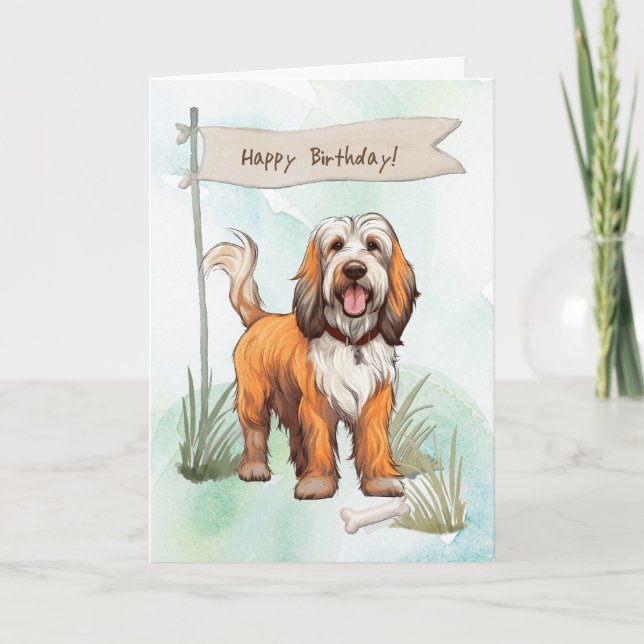 Petit Bassett Griffon Vendéen Under Birthday Sign Karte (Vorderseite)