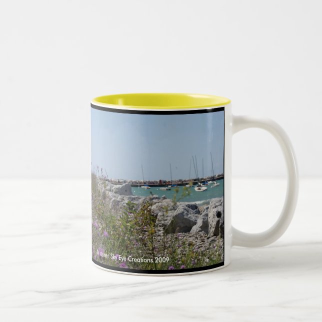 Petoskey Michigan Zweifarbige Tasse (Rechts)
