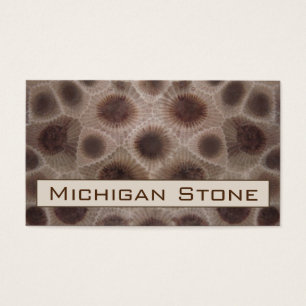 Petoskey Stone
