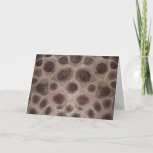 Petoskey Stone Karte