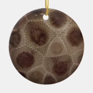 Petoskey Stone Keramik Ornament