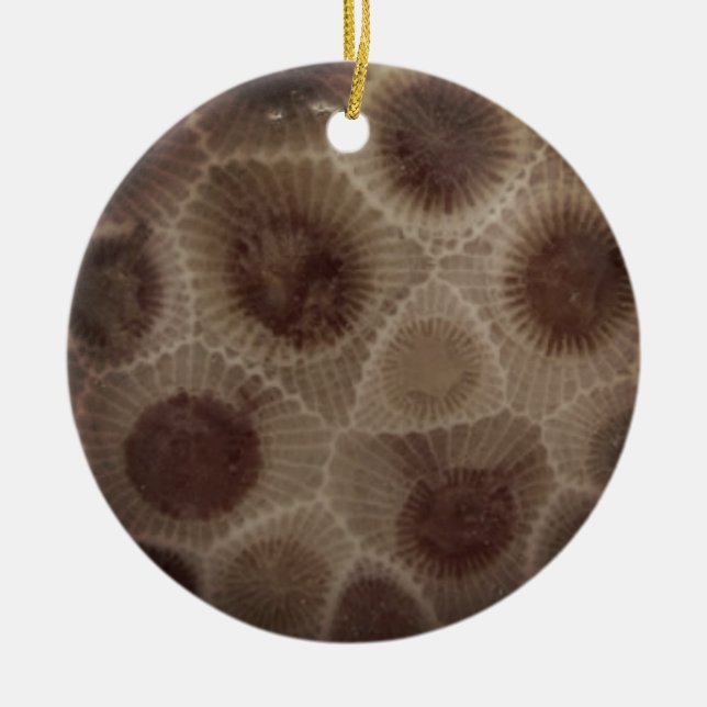 Petoskey Stone Keramik Ornament (Vorne)