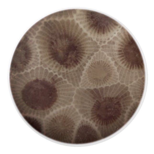Petoskey Stone Keramikknauf (Vorderseite)