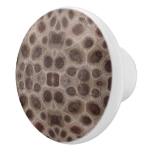 Petoskey Stone Keramikknauf