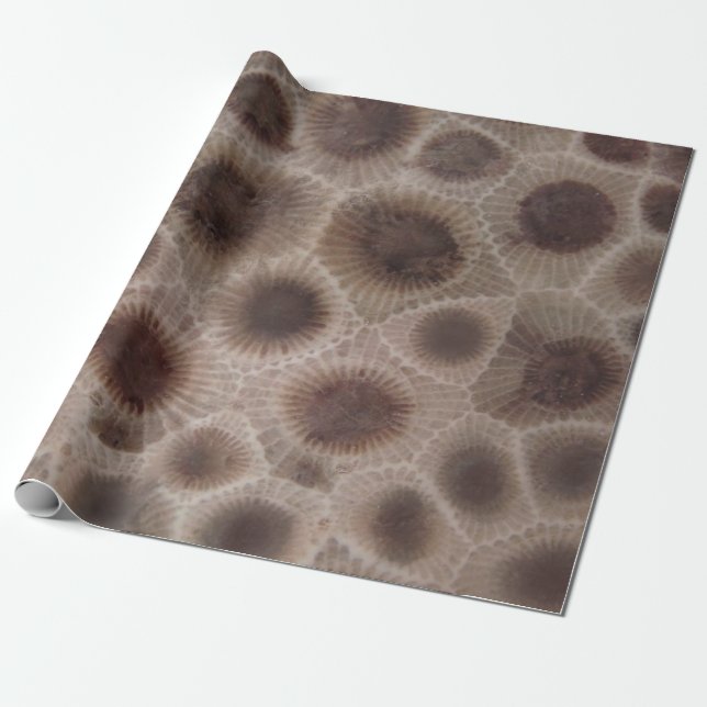 Petoskey Stone michigan Staat steinfossil Geschenkpapier (Ungerollt)