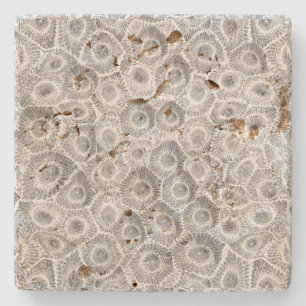 Petoskey Stone Pattern Steinuntersetzer