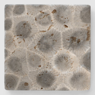 Petoskey Stone Pattern Steinuntersetzer