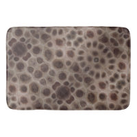 Petoskey Stones | Michigan-Staat