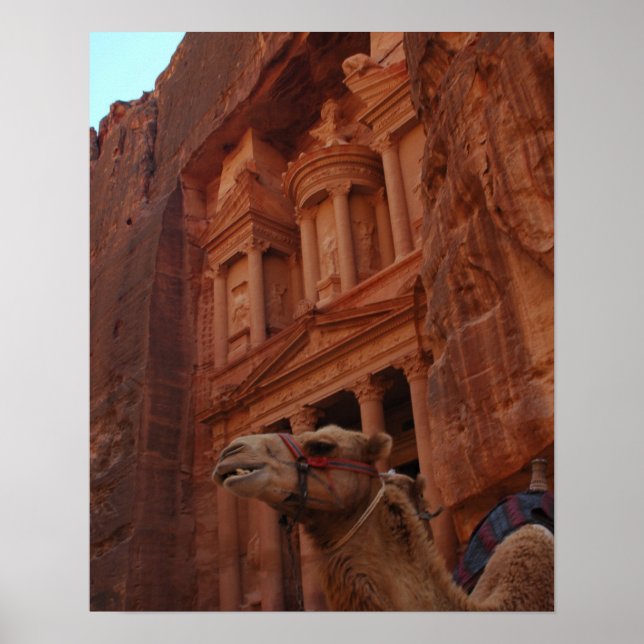 Petra Camel Print Poster (Vorne)