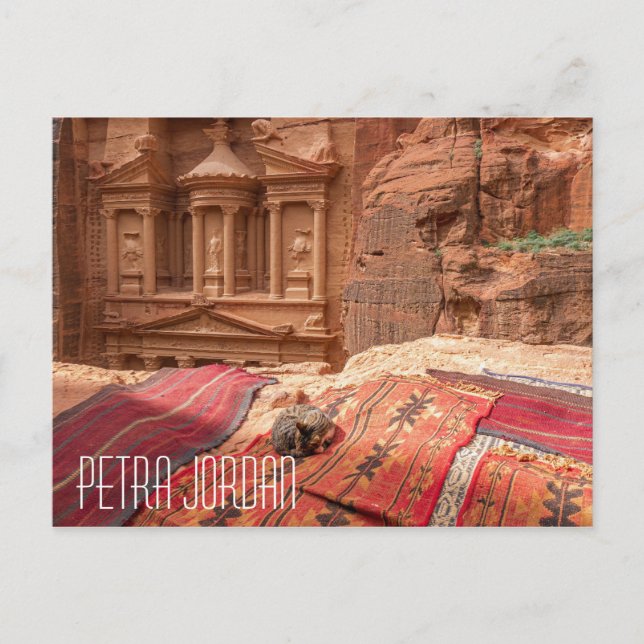 Petra Jordan cat Postcard Postkarte (Vorderseite)