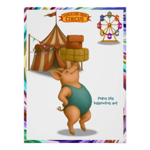 Petra Schwein Balancierakt Poster