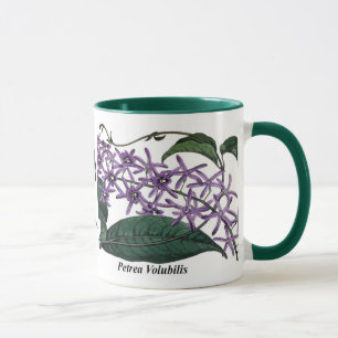 Petrea Volubilis Tasse