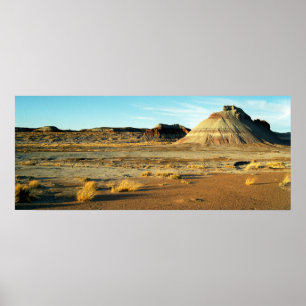 Petrified Forest Desert Arizona Landschaftsbild Fo Poster