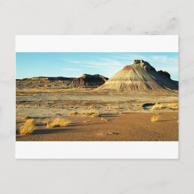 Petrified Forest Desert Arizona Landschaftsbild Fo Postkarte (Vorderseite)