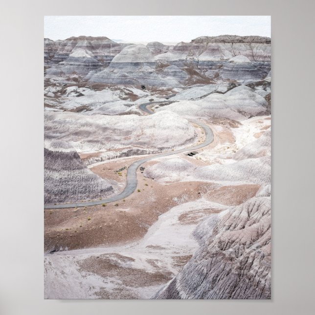 Petrified Forest, Desolate Landscape Photo Poster (Vorne)