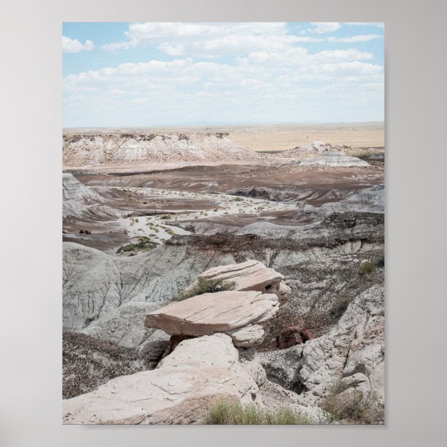 Petrified Forest Print Poster Paper (Semi-Gloss) (Vorne)