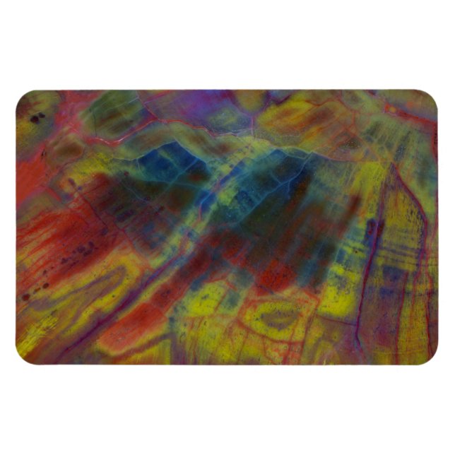 Petrified Wood Magnet (Horizontal)