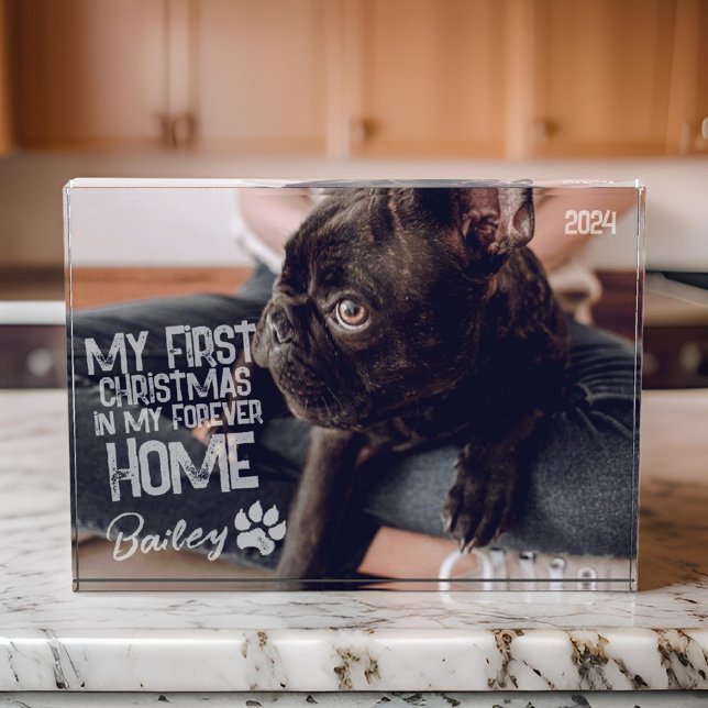 Pet's First Christmas Forever Zuhause Modern Grung Fotoblock (Von Creator hochgeladen)