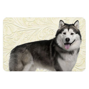 Pet's Foto Easy Template Dog Welpe DIY Upload Magnet