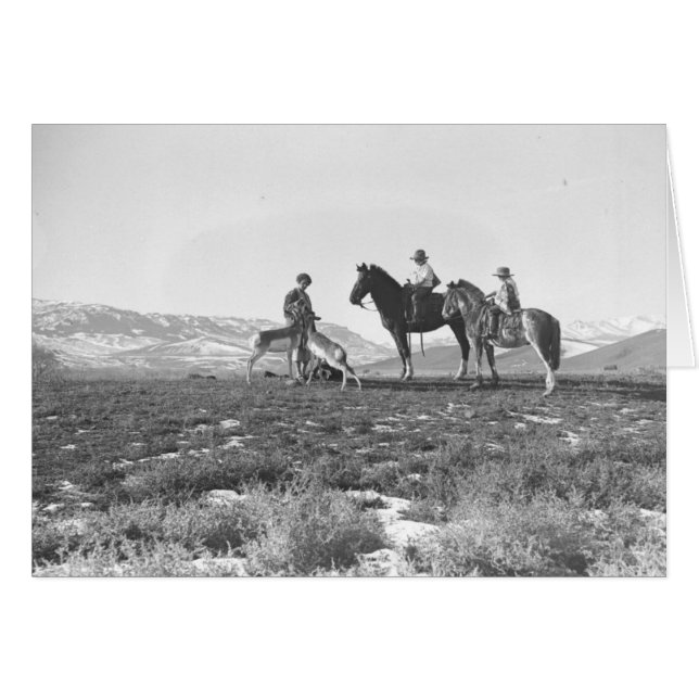 Petting Antilopen (Vorderseite (Horizontal))