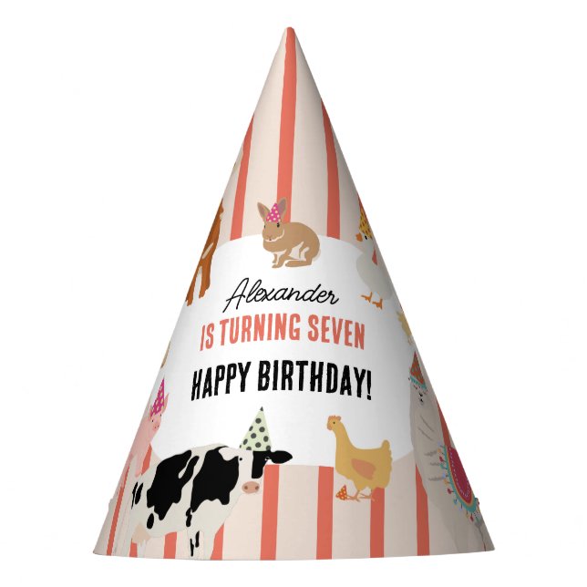 Petting Zoo Party Animals Barnyard Birthday Theme Partyhütchen (Vorderseite)