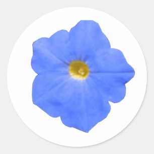 Petunia Blau-Gelbe Aufkleber