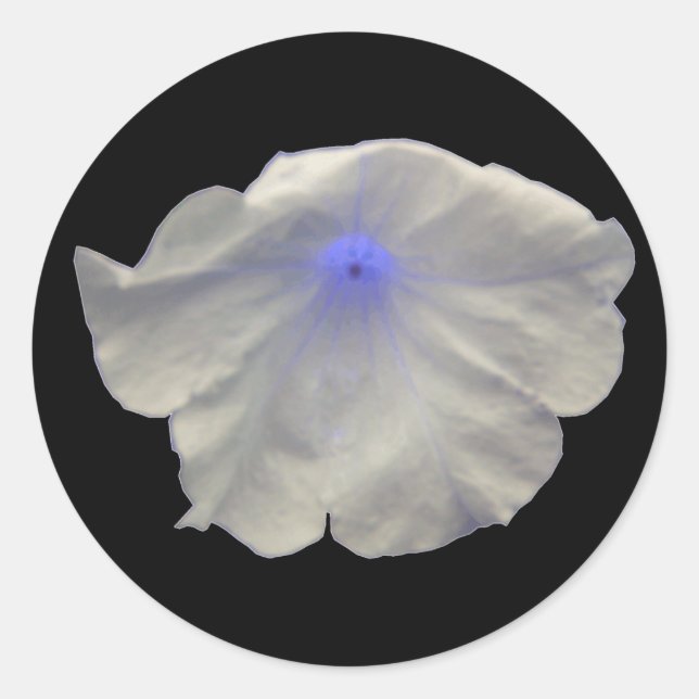 Petunia Blue Glow Stickers (Vorderseite)