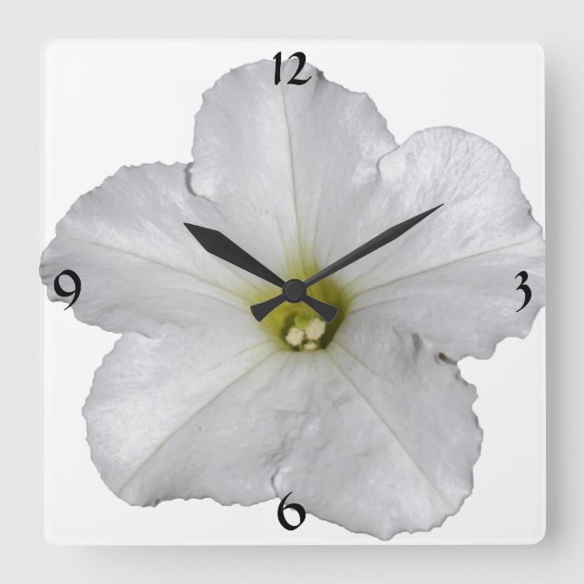 Petunia Blume Blumenbeete Weihnachtsdekor Weiß Coo Quadratische Wanduhr (Vorderseite)