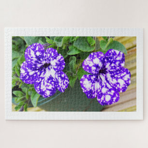 Petunia-Blume Puzzle