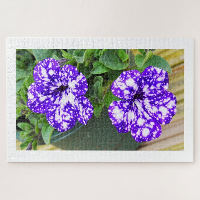 Petunia-Blume Puzzle (Horizontal)
