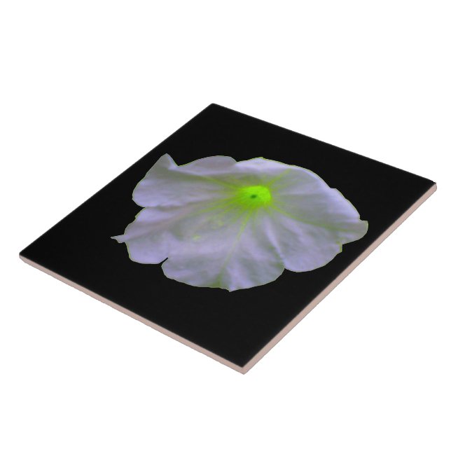 Petunia Green Glow Tile Fliese (Seite)